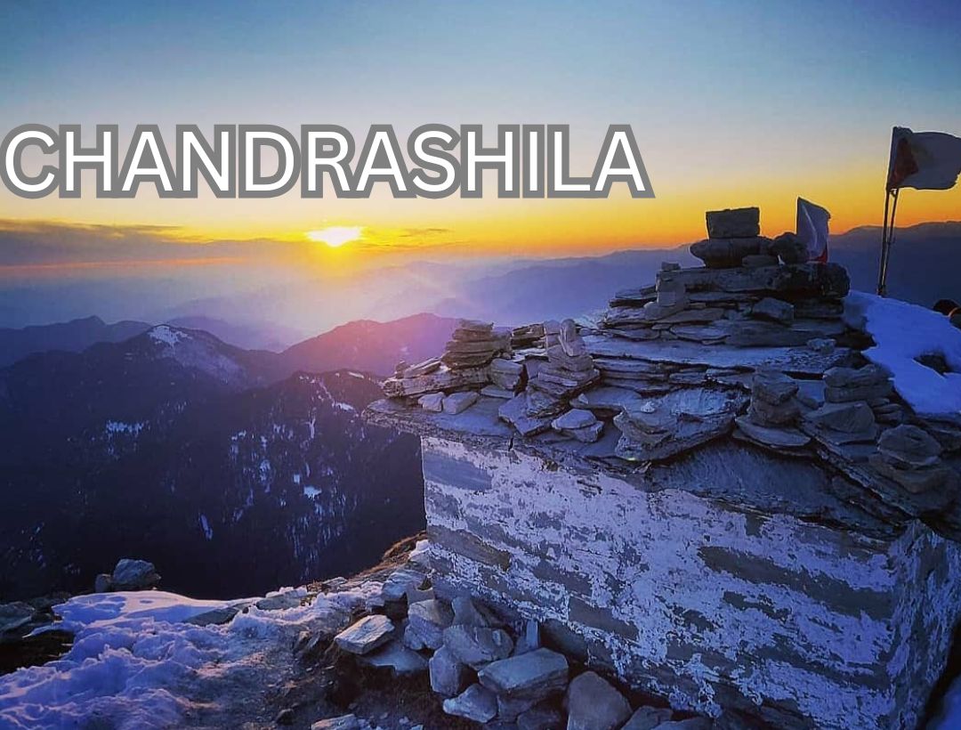 Touch the Sky: Chopta Chandrashila Trek From Delhi 